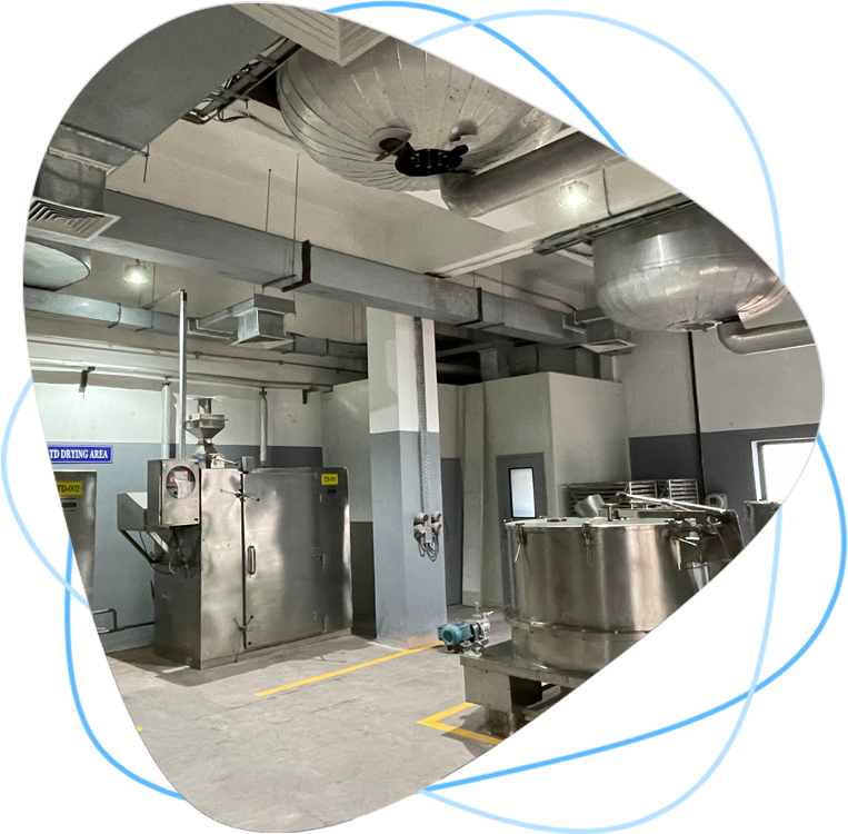 Global Presence across different Countries